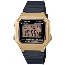 Часы CASIO W-217HM-9AVEF