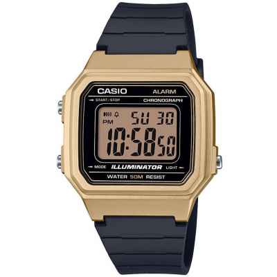 Часы CASIO W-217HM-9AVEF