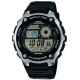 Часы CASIO AE-2100W-1AVEF