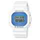 Часы CASIO DW-5600WB-7ER Часы CASIO DW-5600WB-7ER