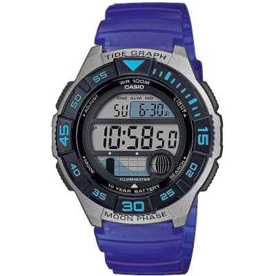 Часы CASIO WS-1100H-2AVEF