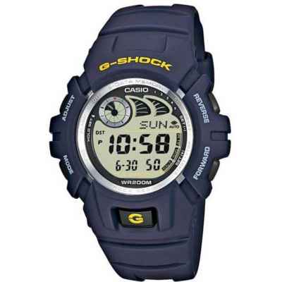 Часы CASIO G-2900F-2VER