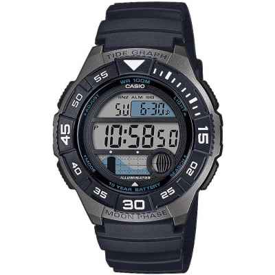 Часы CASIO WS-1100H-1AVEF