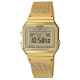 Часы CASIO A700WEMG-9AEF
