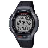 Часы CASIO WS-2000H-1AVEF