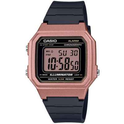 Часы CASIO W-217HM-5AVEF