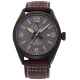 Часы ORIENT RE-AU0202N00B