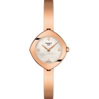 Часы TISSOT T113.109.33.116.00